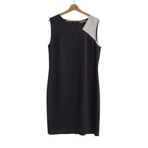 Lauren Ralph Lauren Sleeveless Colorblock Shift Dress